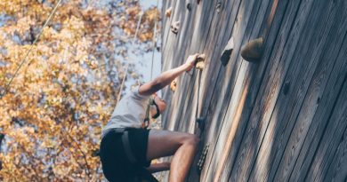 How to Build Your Own Climbing Wall in The Garden