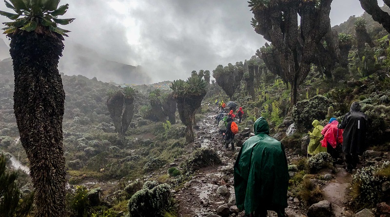 Rainy approach to Mount Kilimanjaro. Best time to climb Kilimanjaro